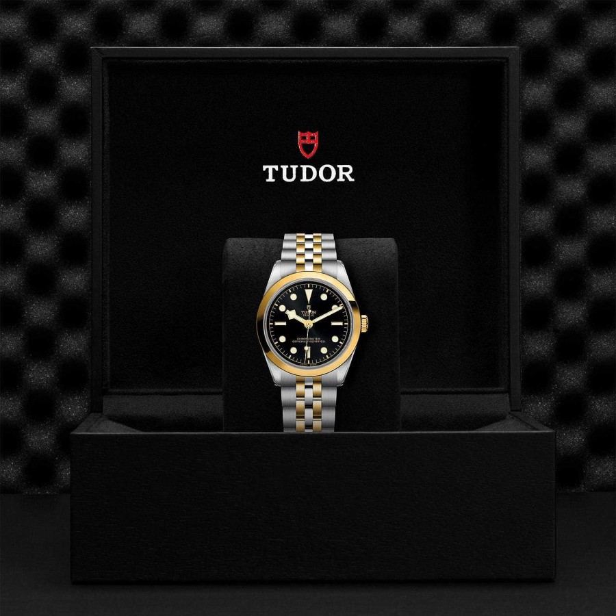 Relojes Tudor | Tudor Black Bay 36 S&G