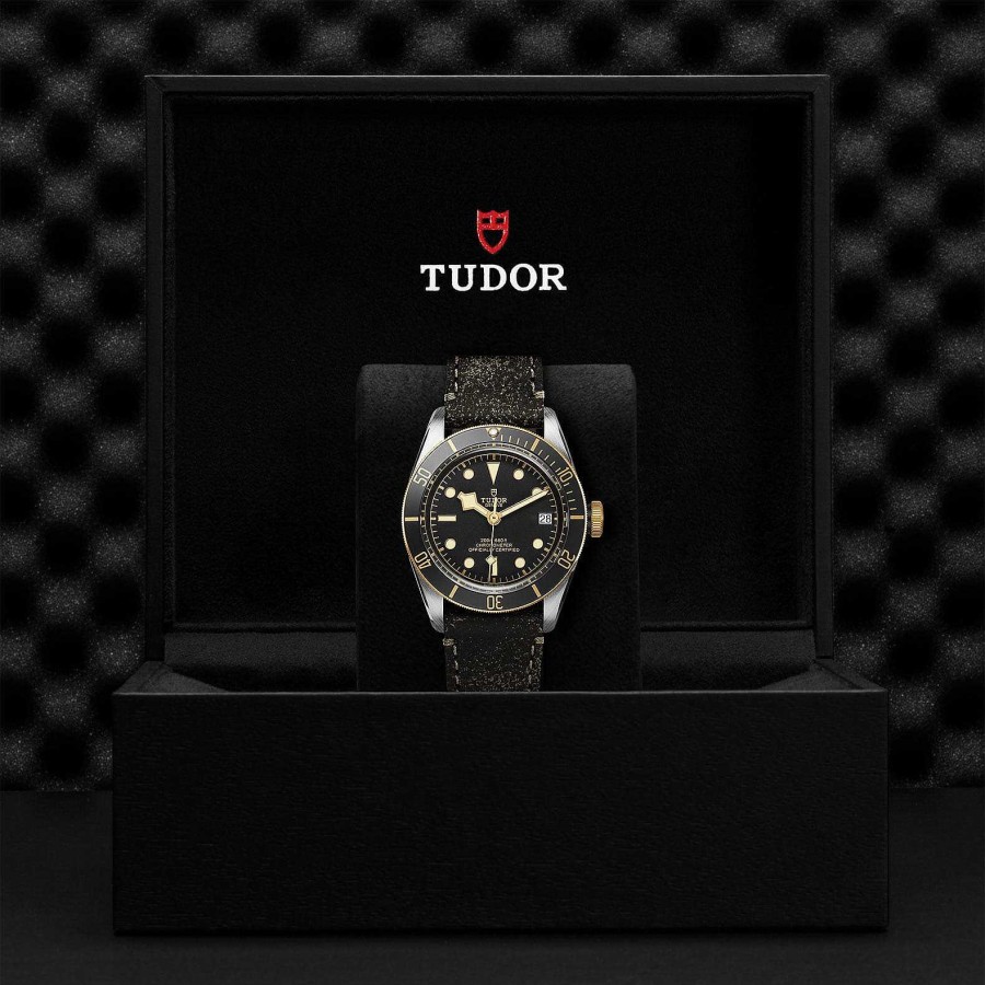 Relojes Tudor | Tudor Black Bay S&G