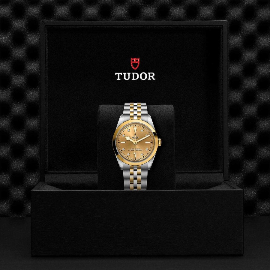 Relojes Tudor | Tudor Black Bay 36 S&G