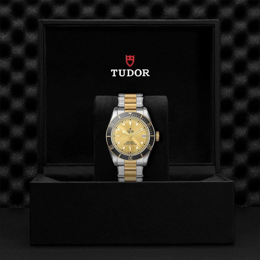 Relojes Tudor | Tudor Black Bay S&G