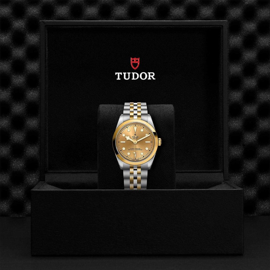 Relojes Tudor | Tudor Black Bay 36 S&G