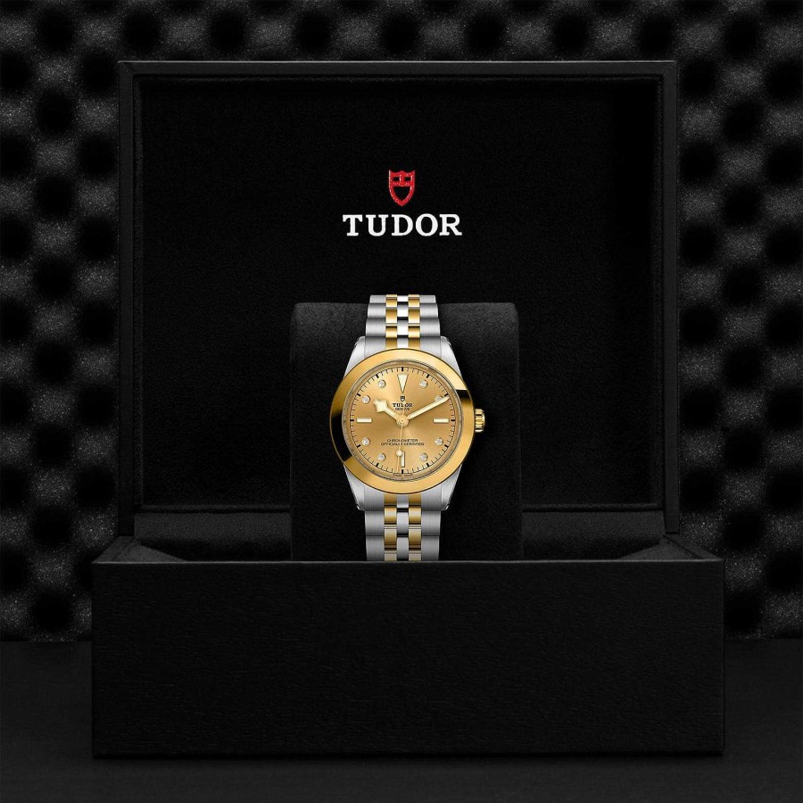 Relojes Tudor | Tudor Black Bay 39 S&G