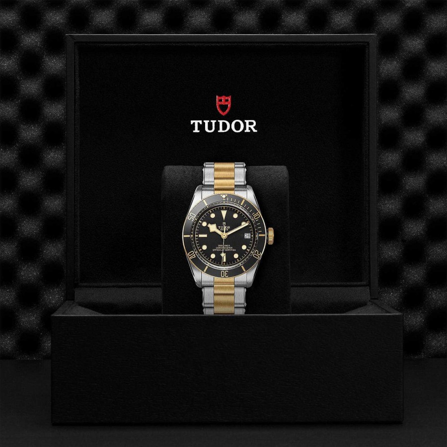 Relojes Tudor | Tudor Black Bay S&G