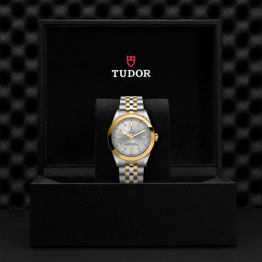 Relojes Tudor | Tudor Black Bay 39 S&G