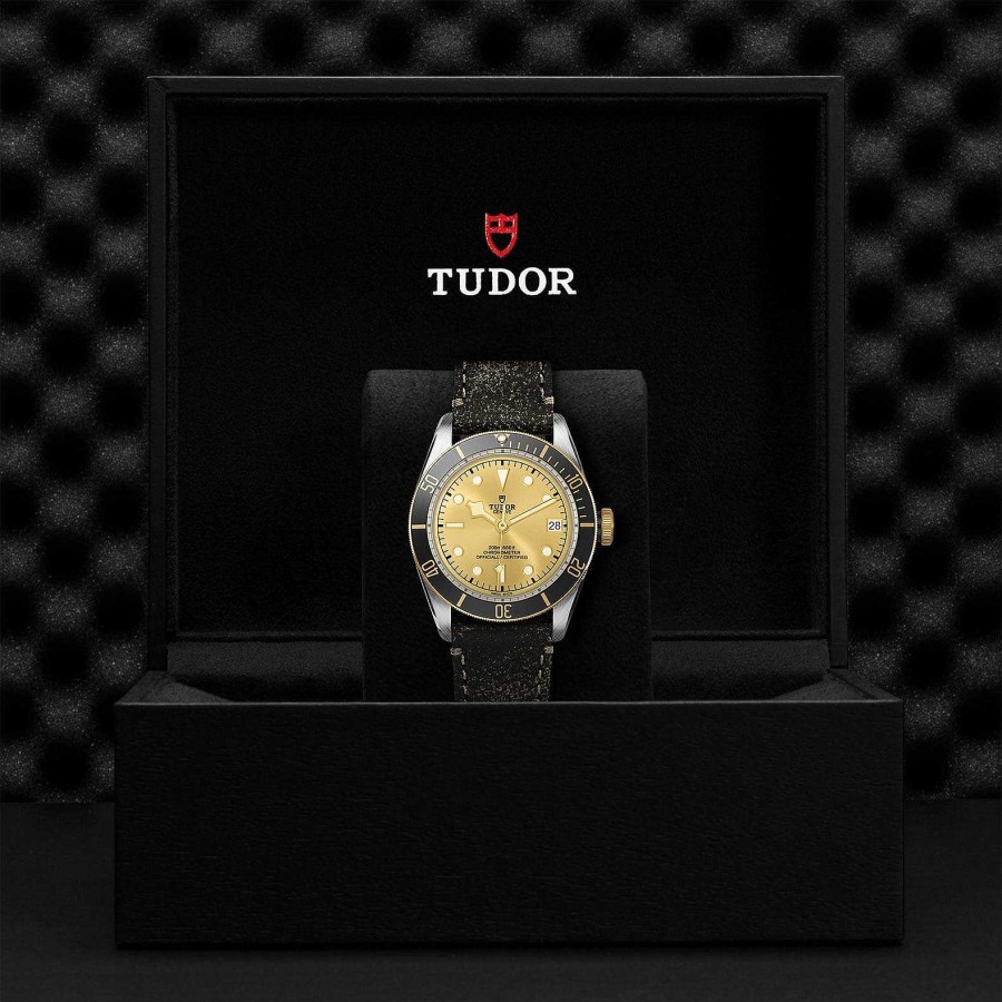 Relojes Tudor | Tudor Black Bay S&G