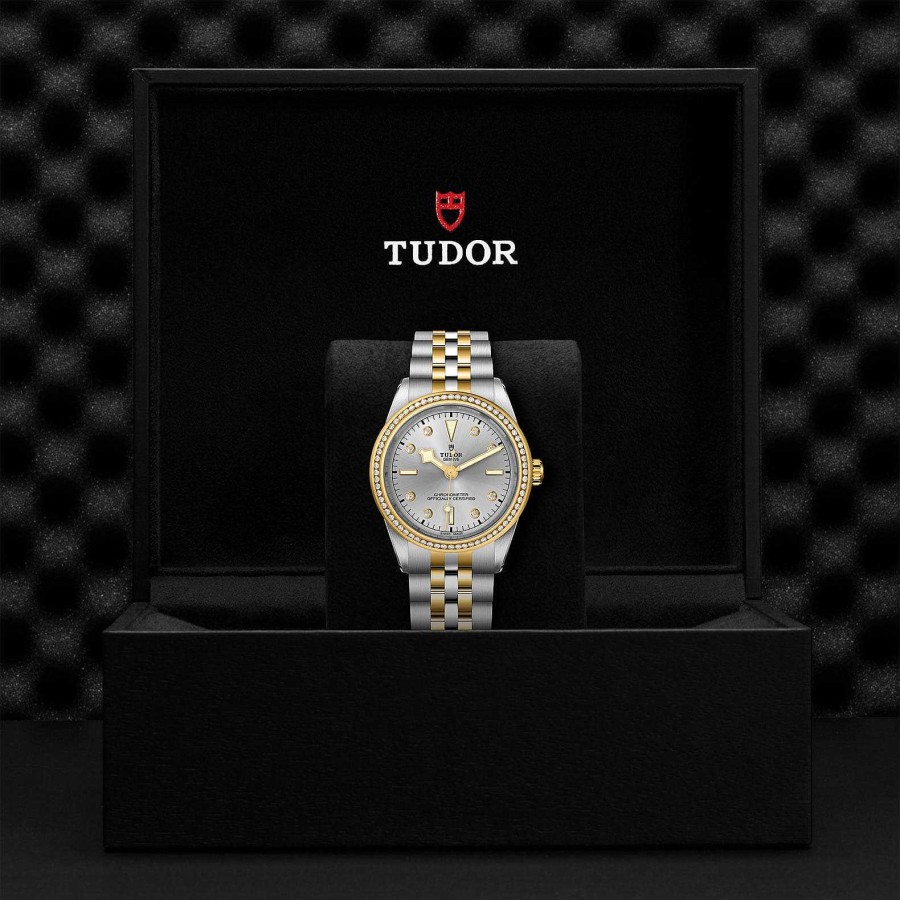 Relojes Tudor | Tudor Black Bay 39 S&G