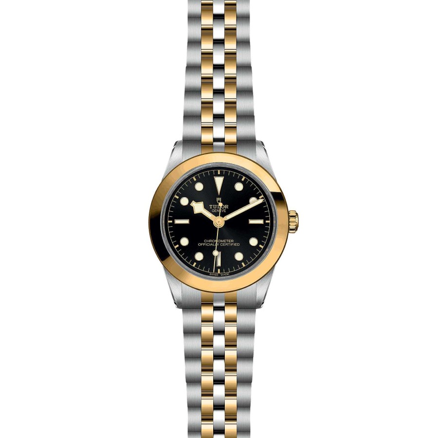 Relojes Tudor | Tudor Black Bay 39 S&G