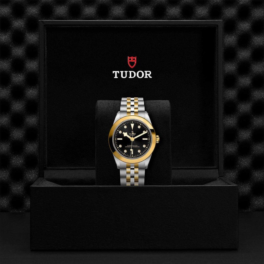 Relojes Tudor | Tudor Black Bay 39 S&G