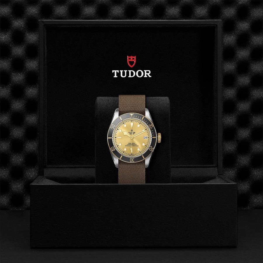 Relojes Tudor | Tudor Black Bay S&G