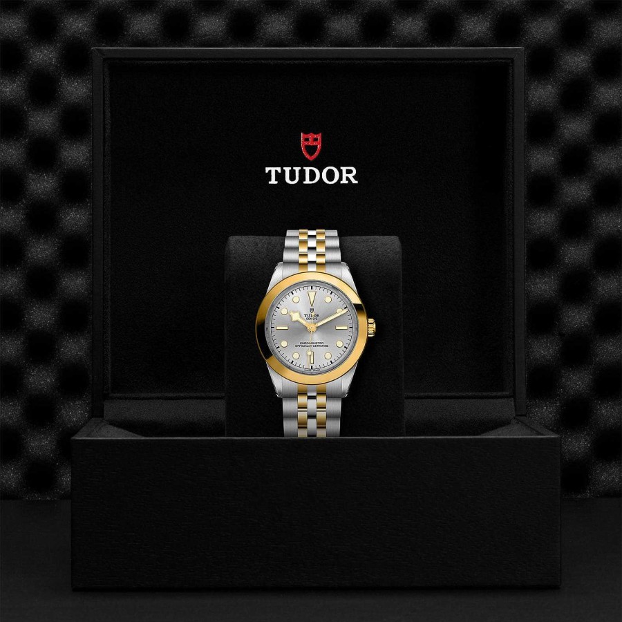 Relojes Tudor | Tudor Black Bay 39 S&G