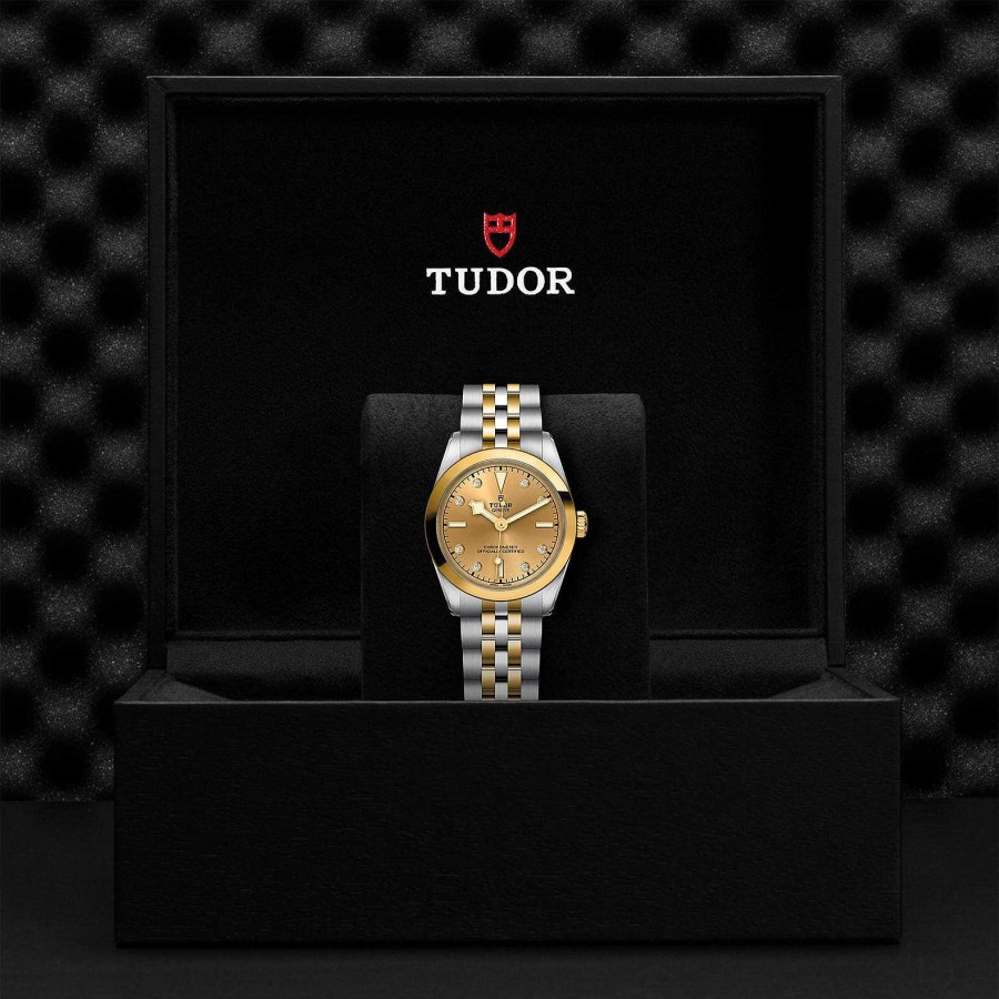 Relojes Tudor | Tudor Black Bay 31 S&G